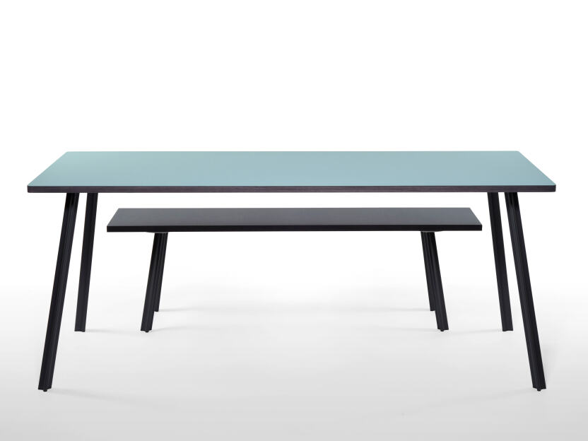 Bench/table combination with linoleum surface