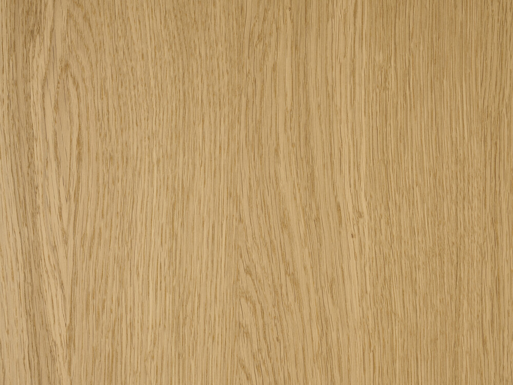 Nahaufnahme der unbehandelten Linoleum-Oberfläche in Pure von Faust – matt, fein strukturiert, in senfgelbem Naturton mit ruhiger Haptik.